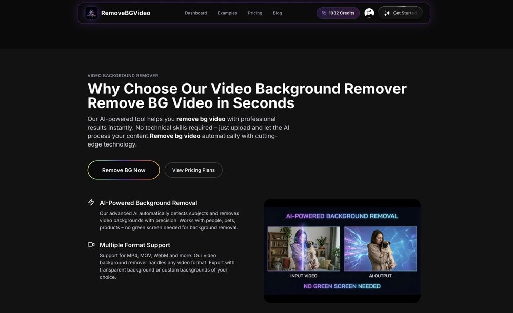 RemoveBGVideo screenshot 3