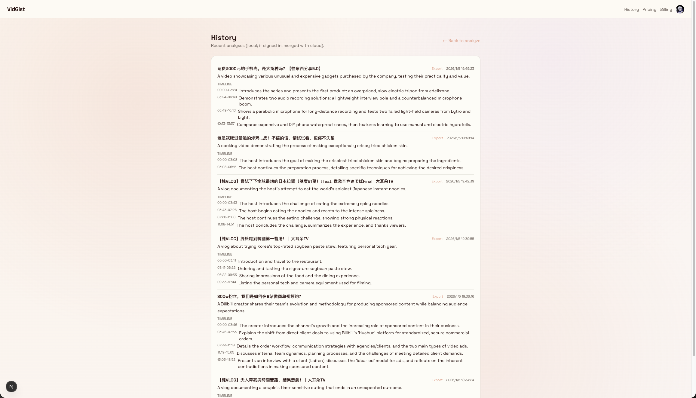 VidGist screenshot 1