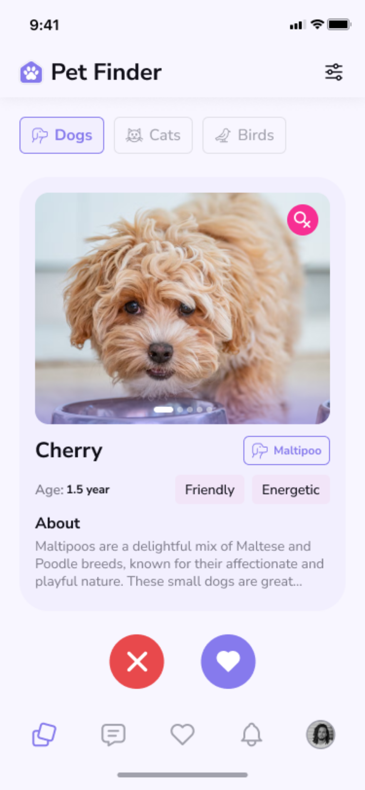 Pet Finder screenshot 1