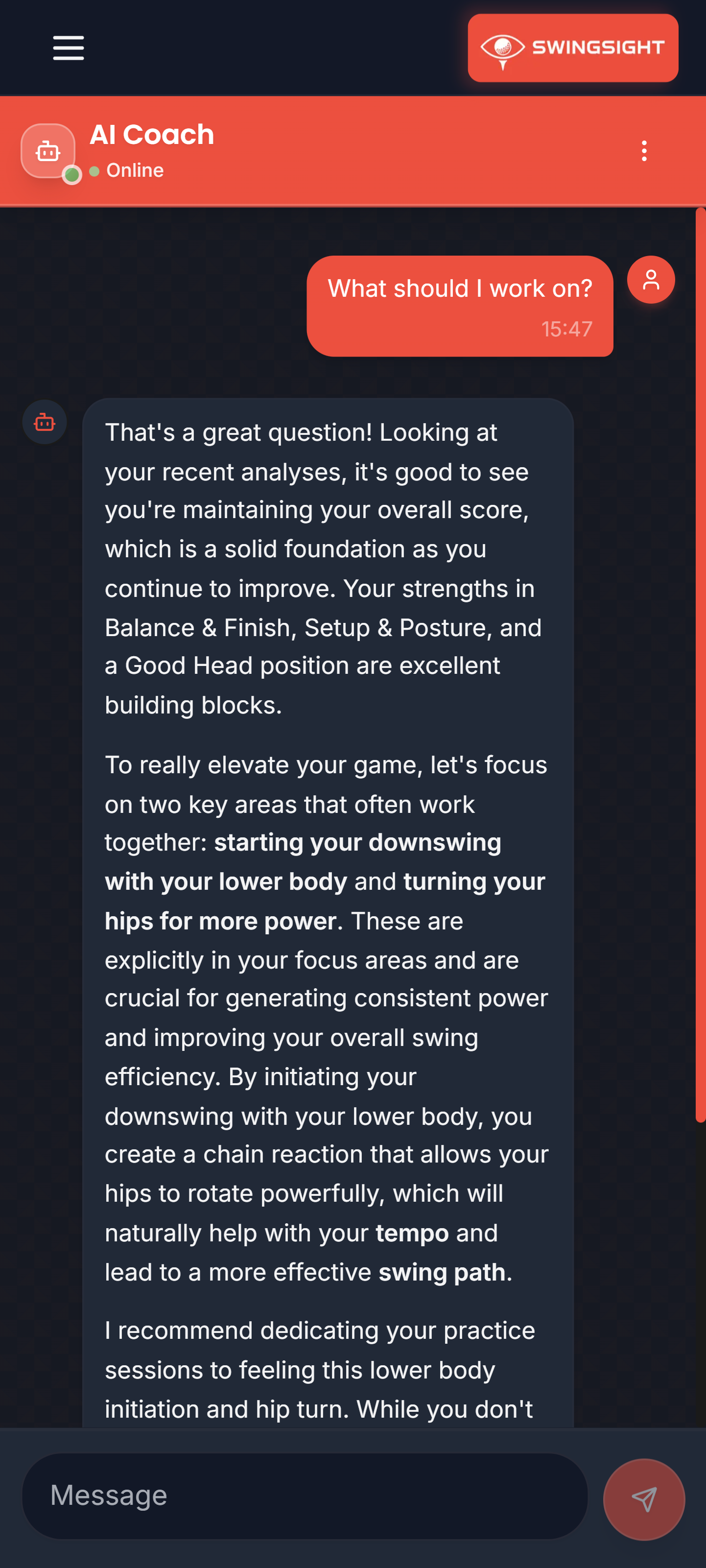 SwingSight screenshot 9