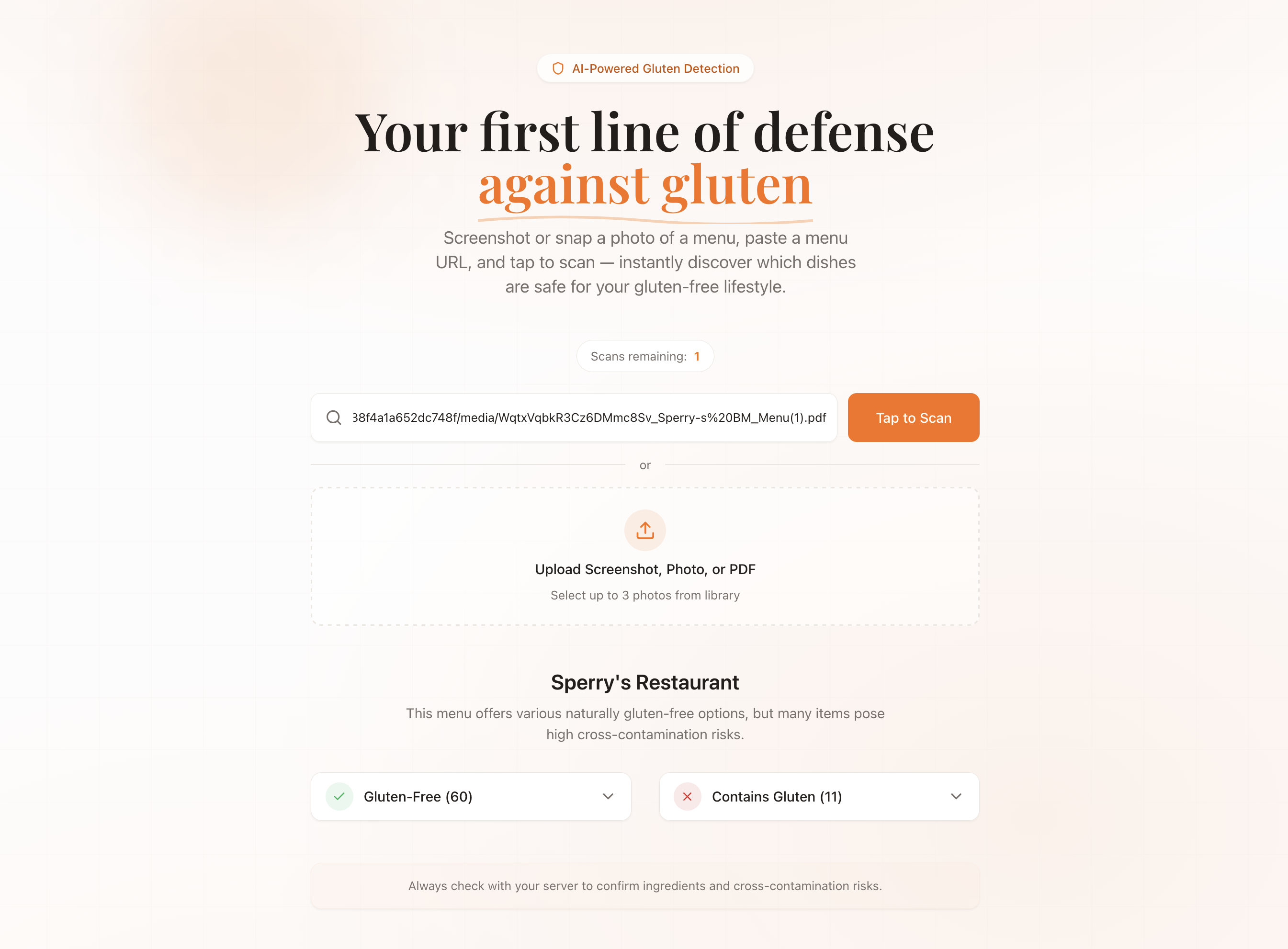aiMenuScanner.xyz screenshot 2