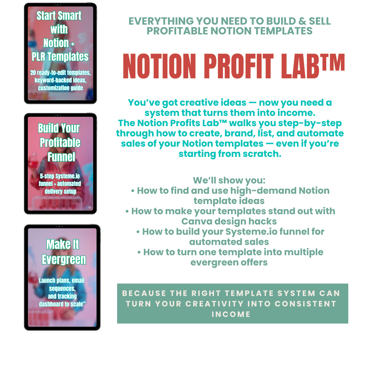 Notion Profit Lab™ screenshot 4