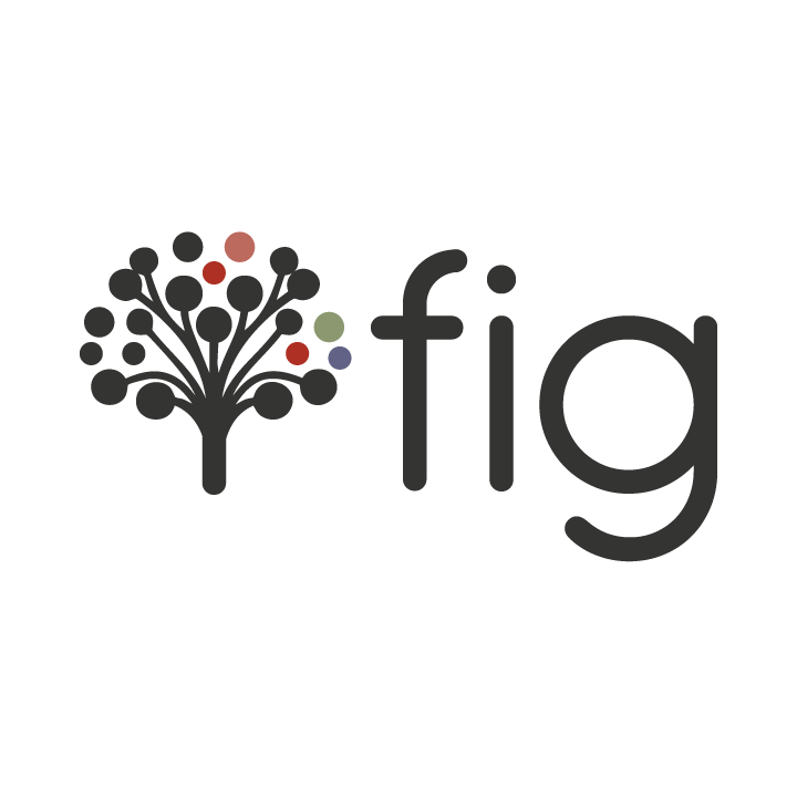 Fig Agent to automate business analytics screenshot 1