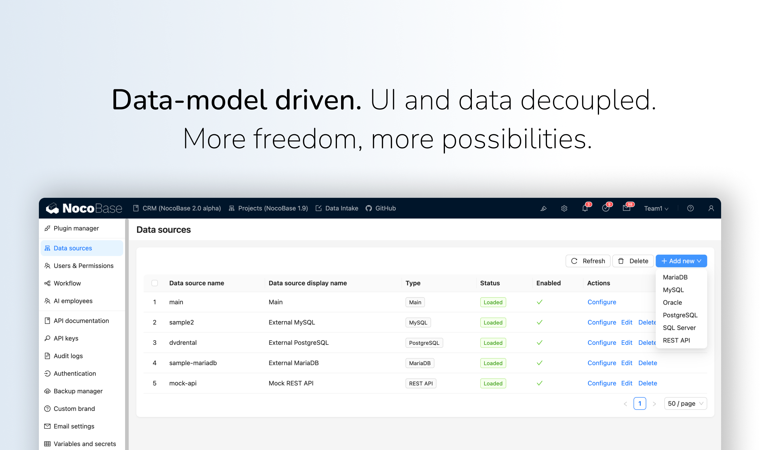 NocoBase 2.0 screenshot 3