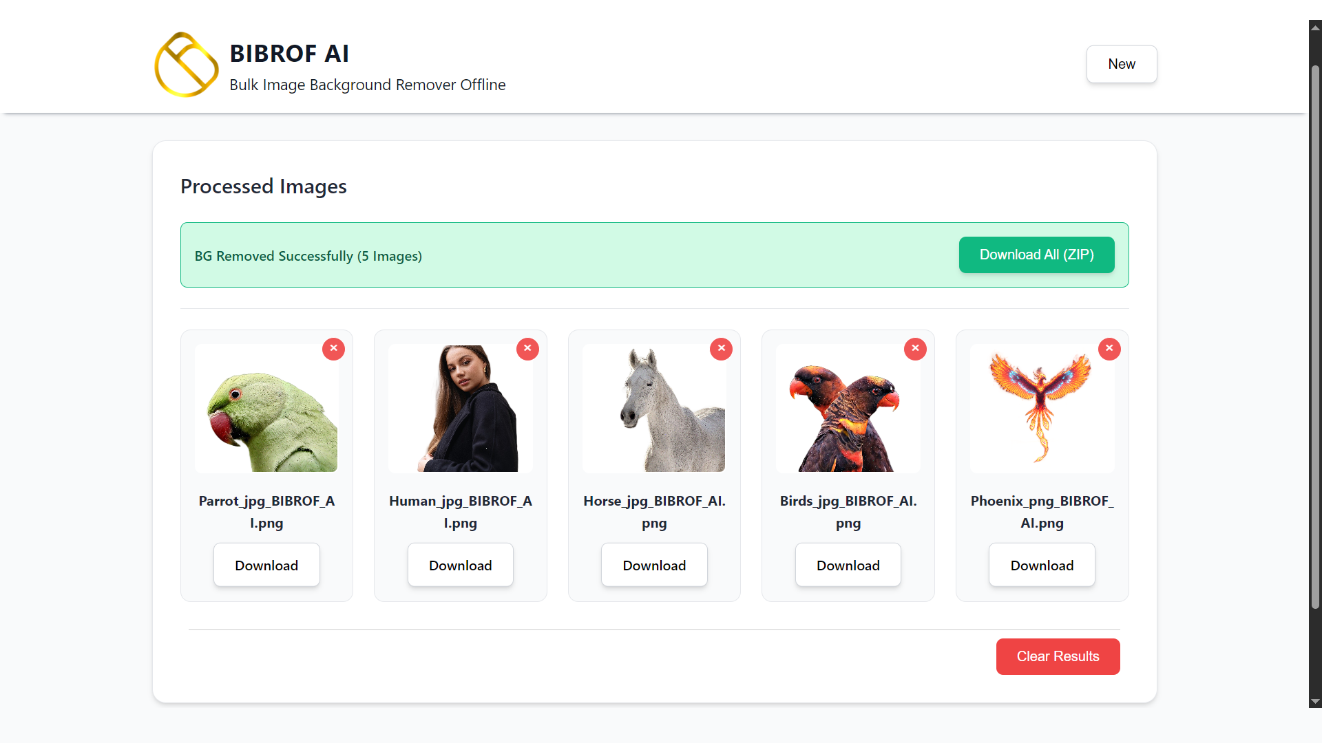 BIBROF AI screenshot 6