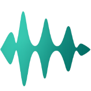 VoiceFlow