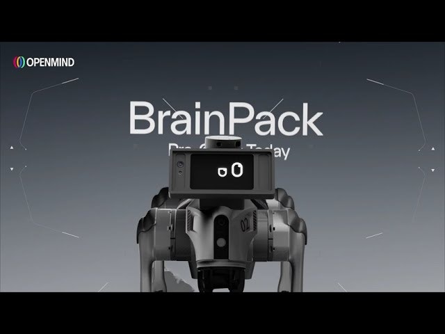 OpenMind BrainPack screenshot 6