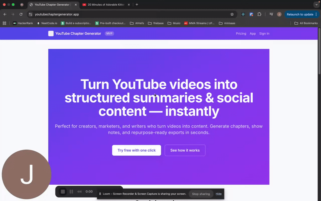 AI YouTube Summarizer screenshot 1