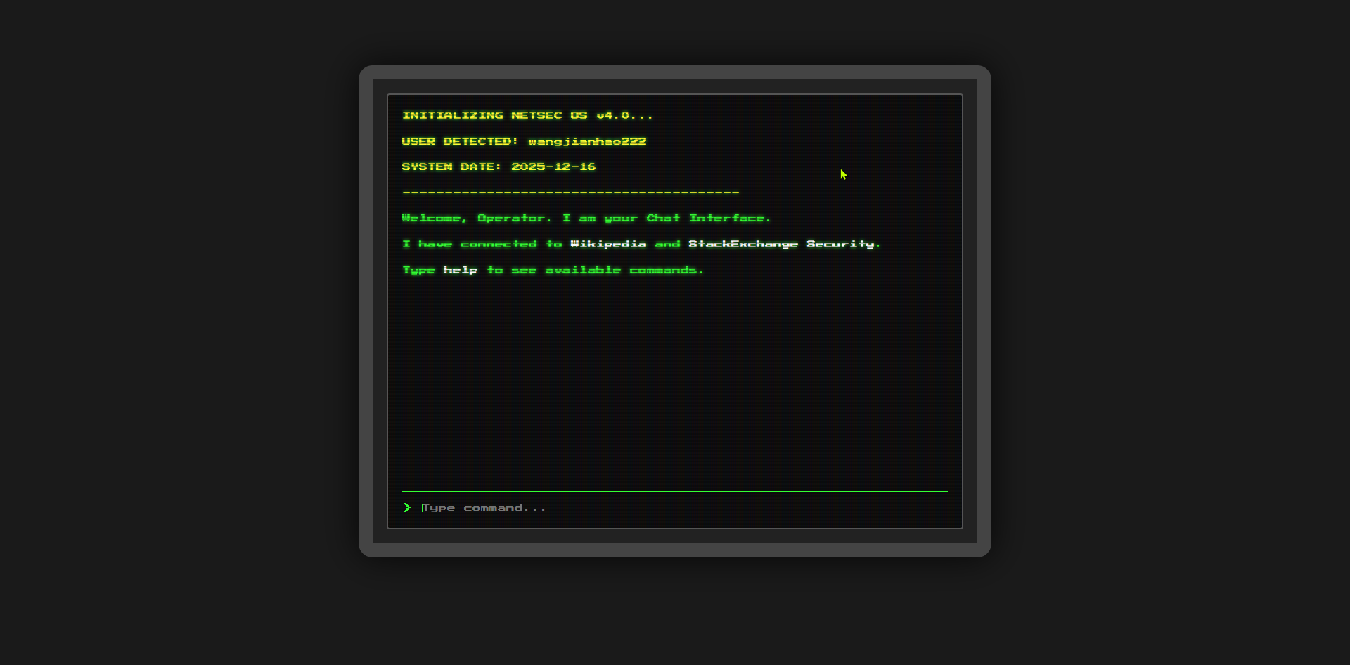 NETSEC_TERMINAL // WANGJIANHAO222 screenshot 1