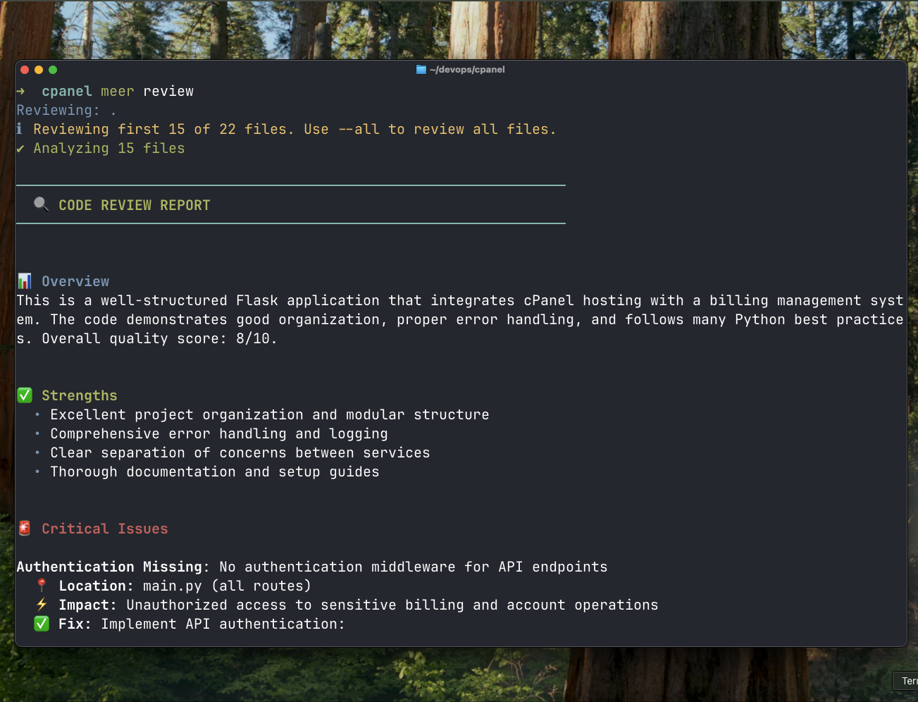 Meer CLI screenshot 1