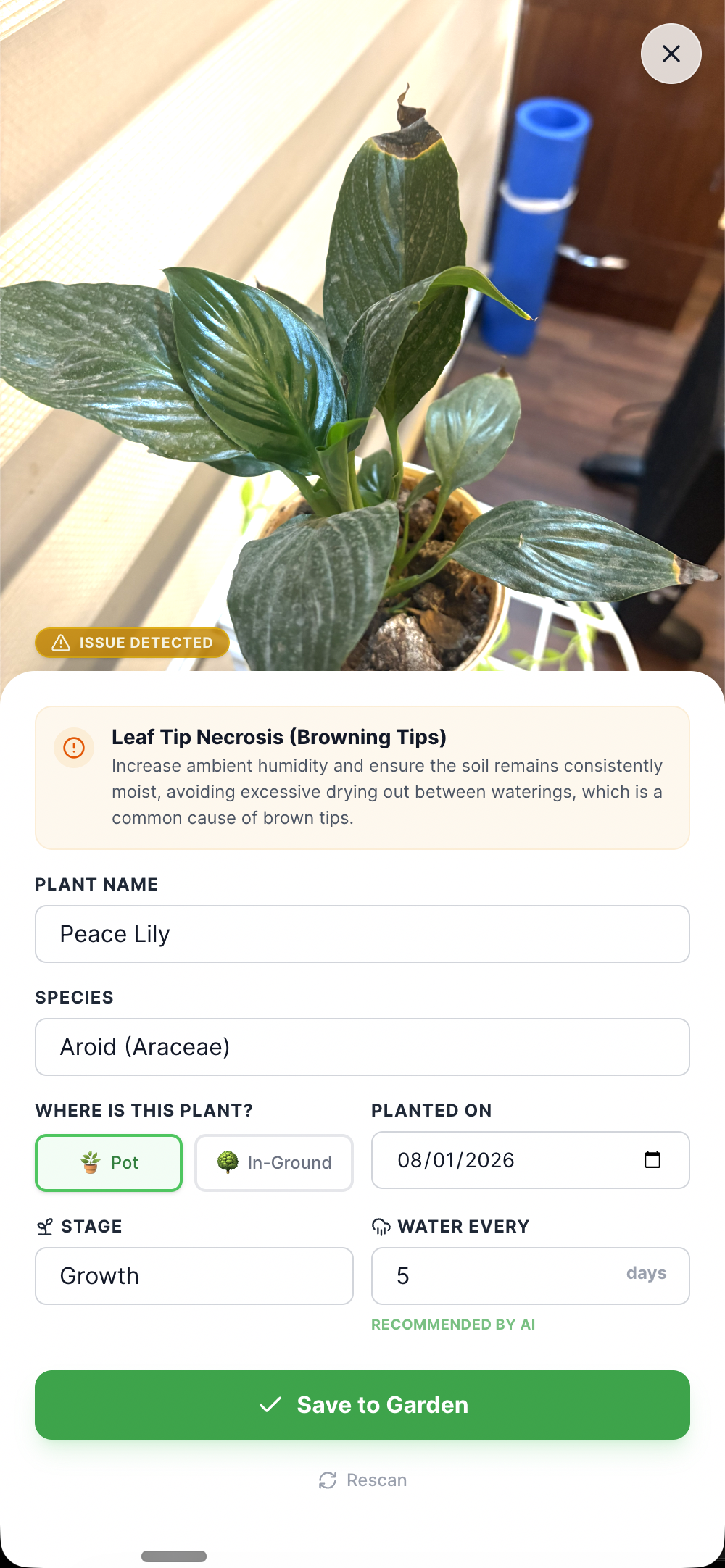 LeafyBook screenshot 3