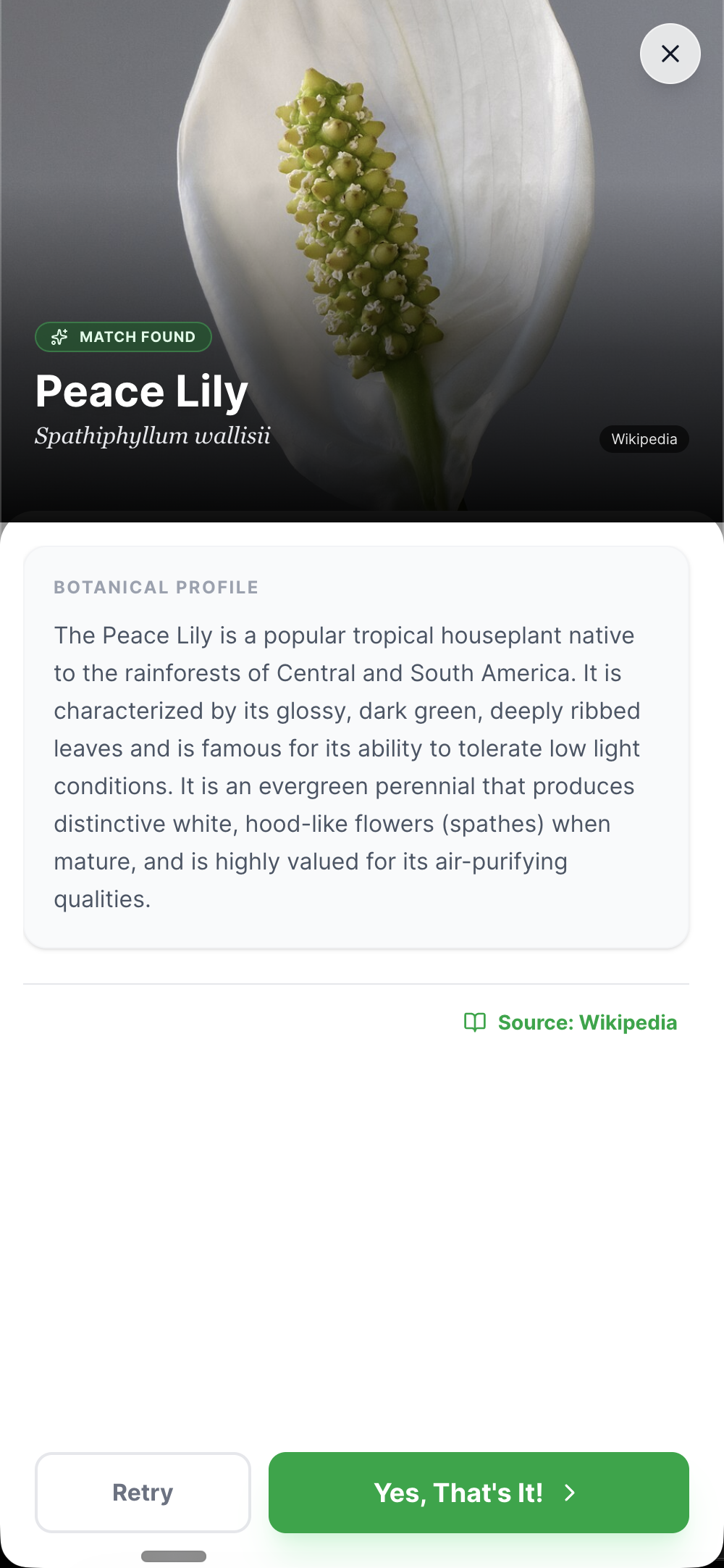 LeafyBook screenshot 2