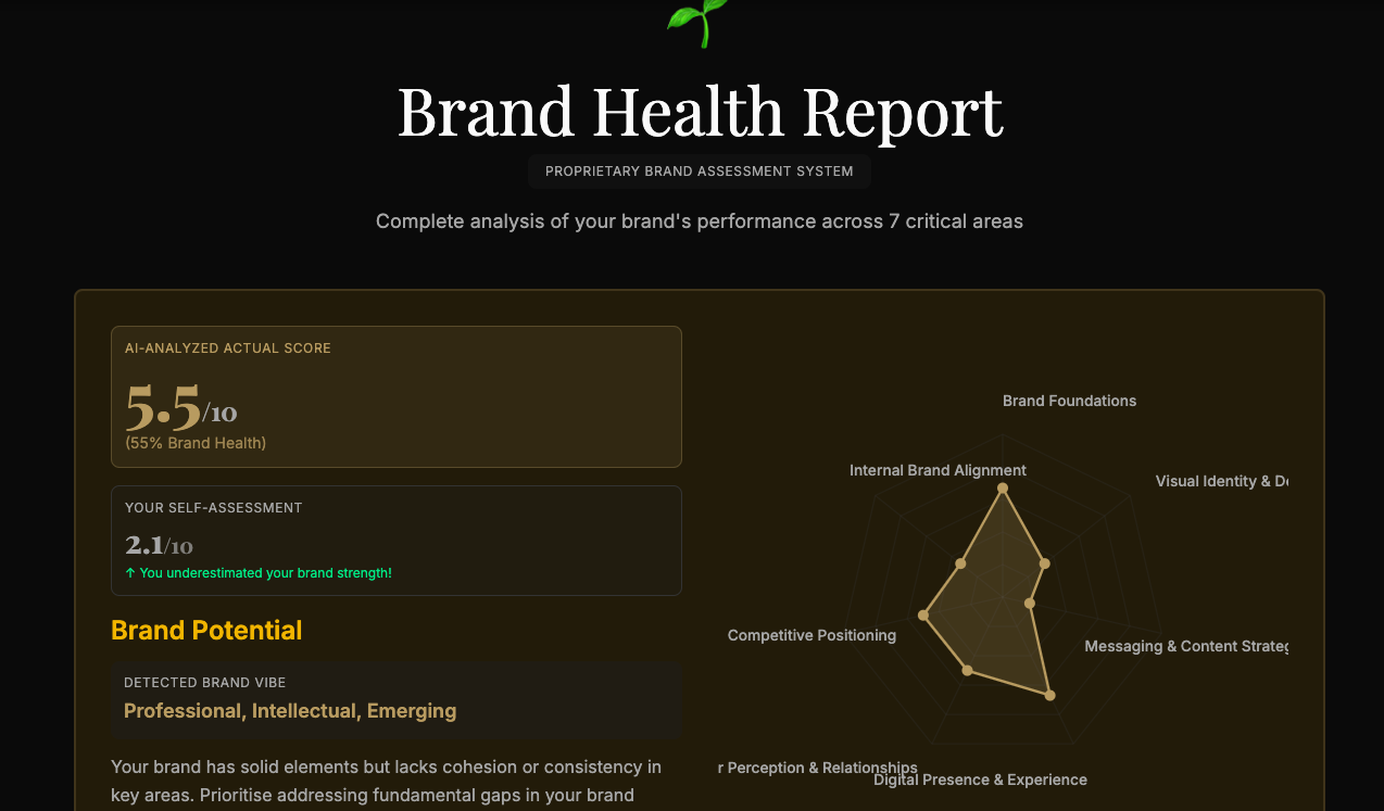 AI + Human Brand Audit - SMGH Consulting screenshot 2