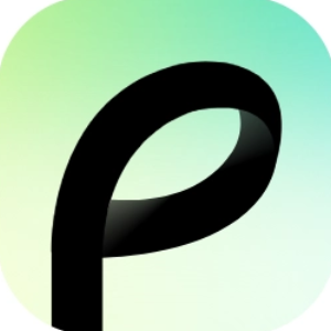 PAVO Travel
