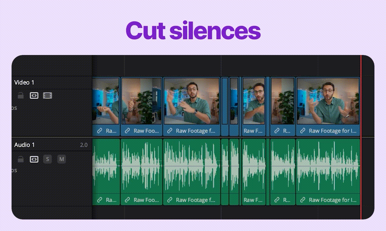 FireCut for DaVinci Resolve screenshot 3