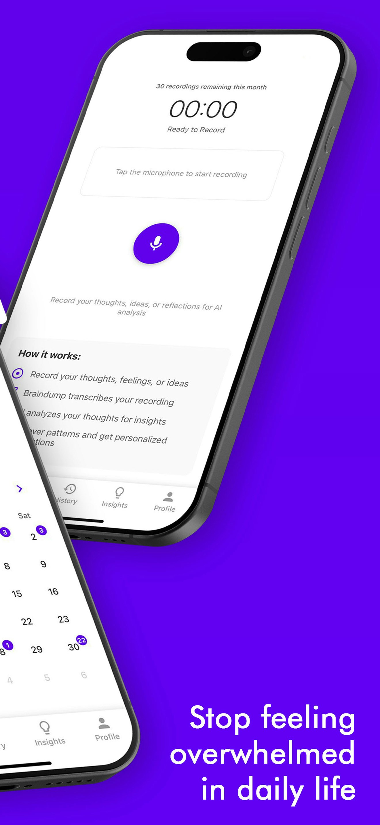 Braindump AI screenshot 2