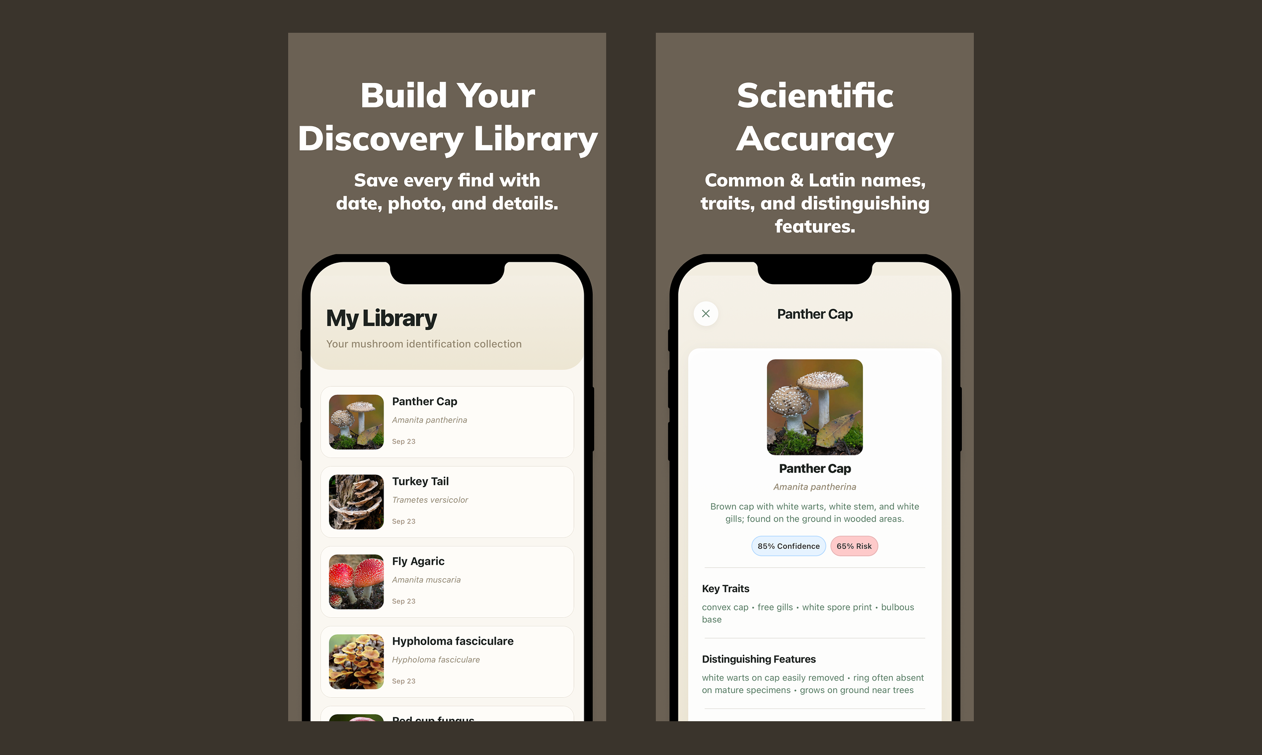 Mushy: Mushroom Identifier screenshot 3