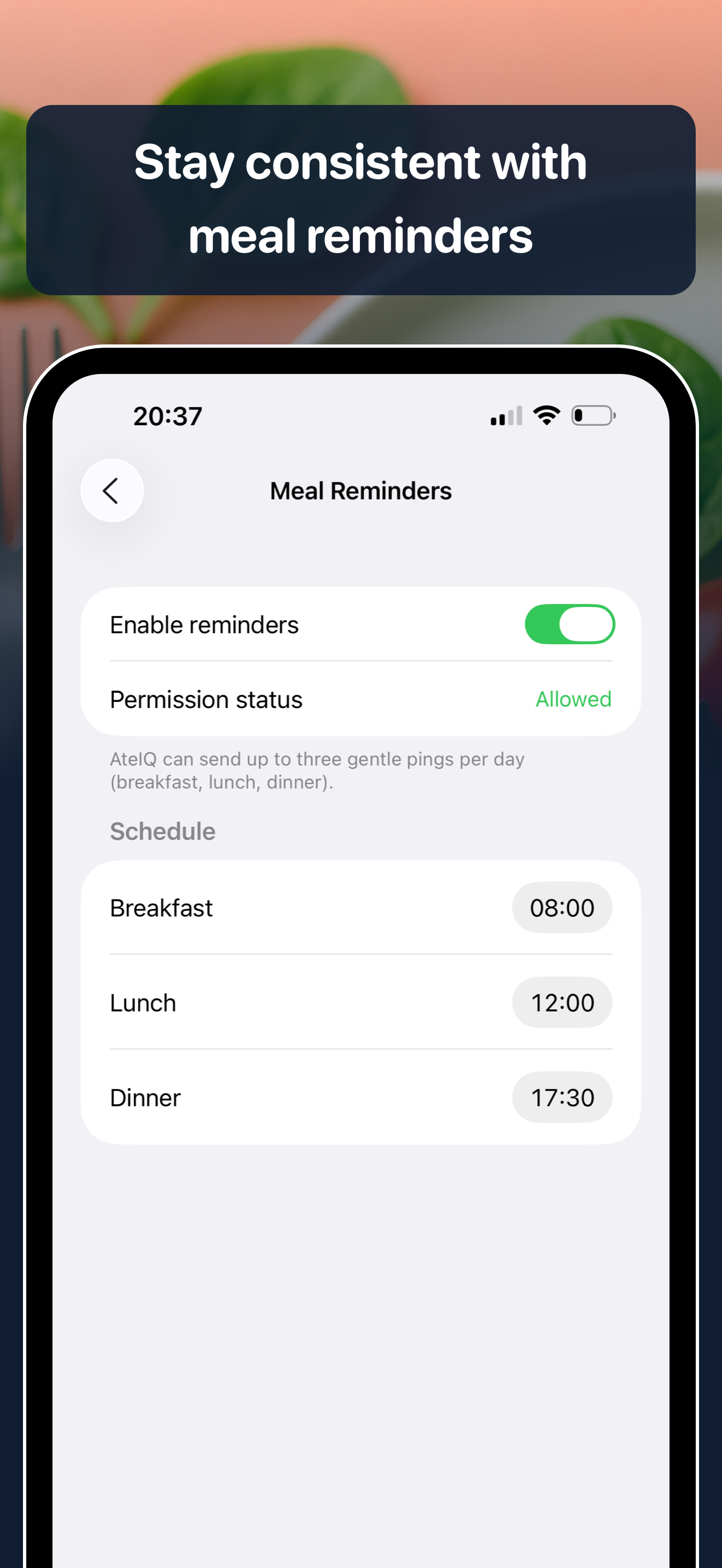 AteIQ v1.4 — Smarter AI Meal Tracking screenshot 5