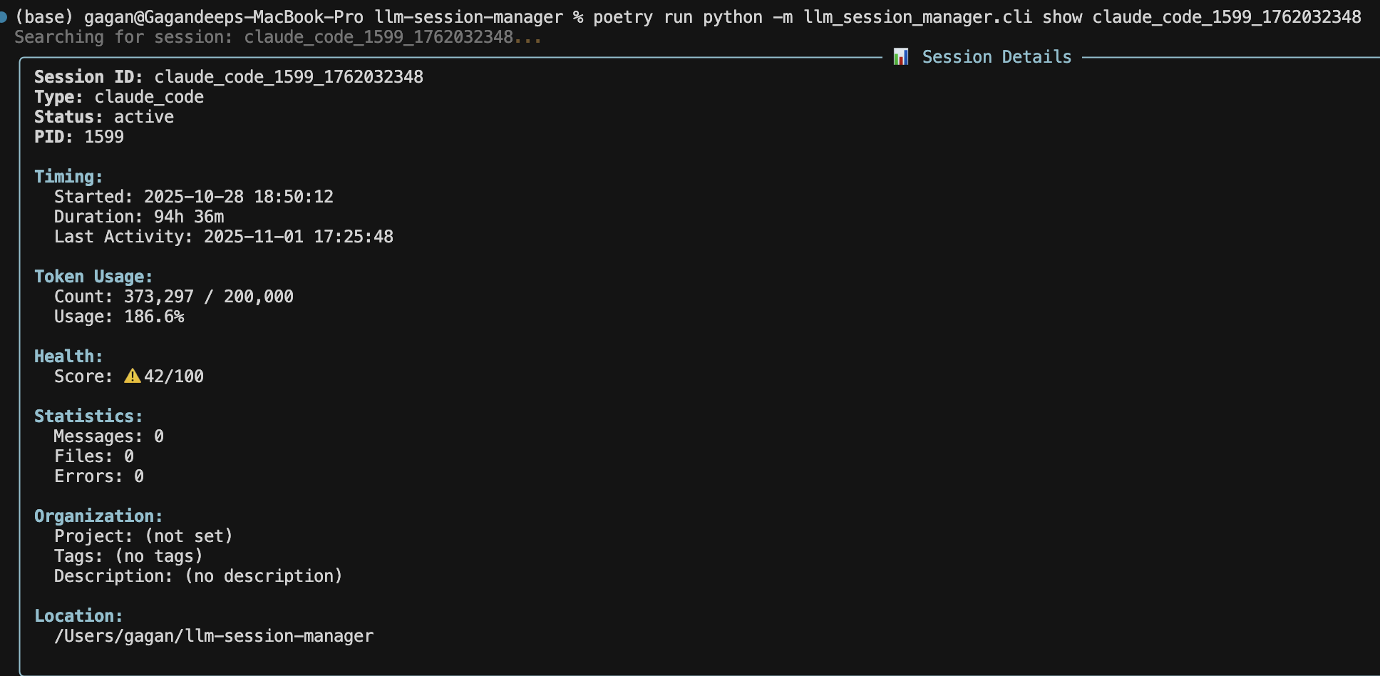 LLM Session Manager screenshot 3