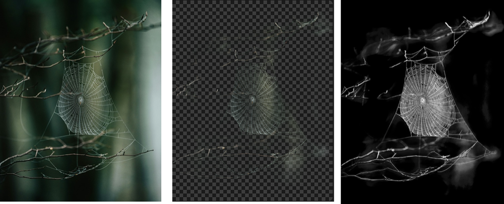 withoutBG screenshot 5