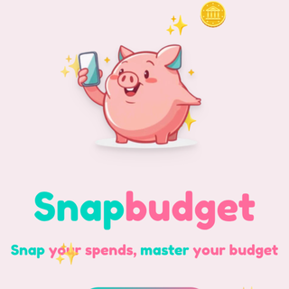 Snapbudget screenshot 2