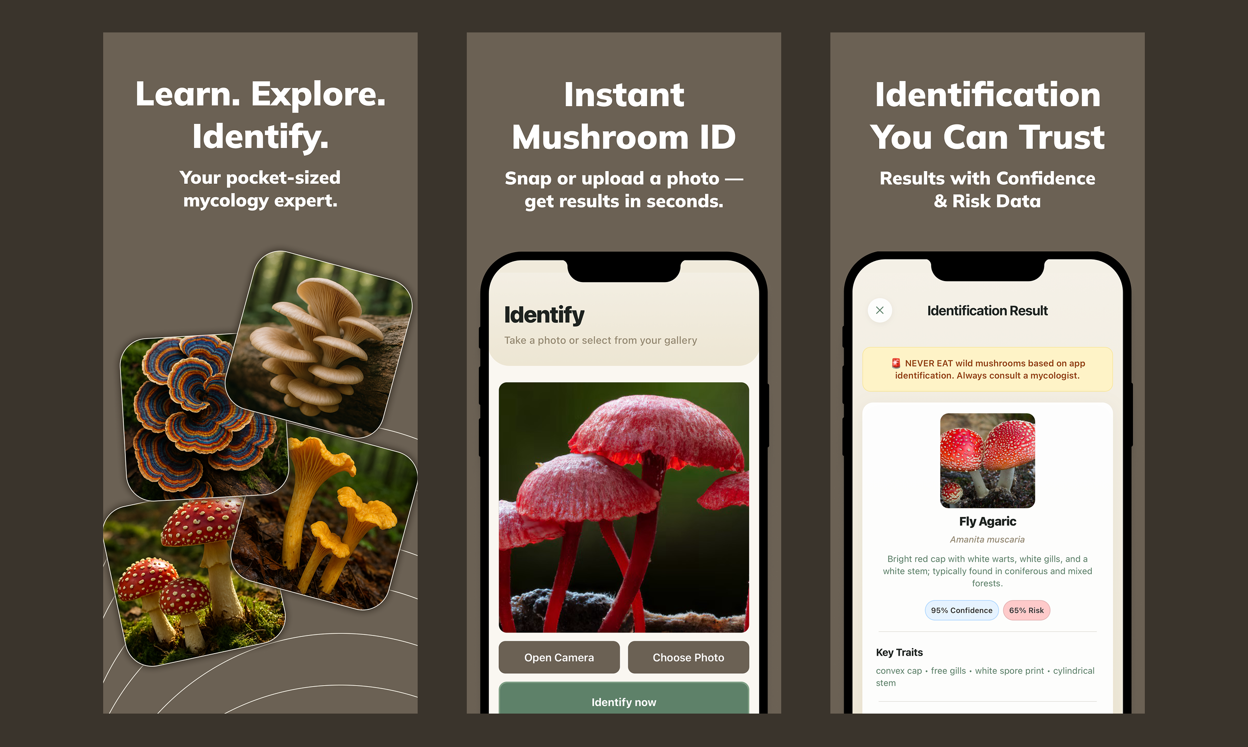 Mushy: Mushroom Identifier screenshot 2