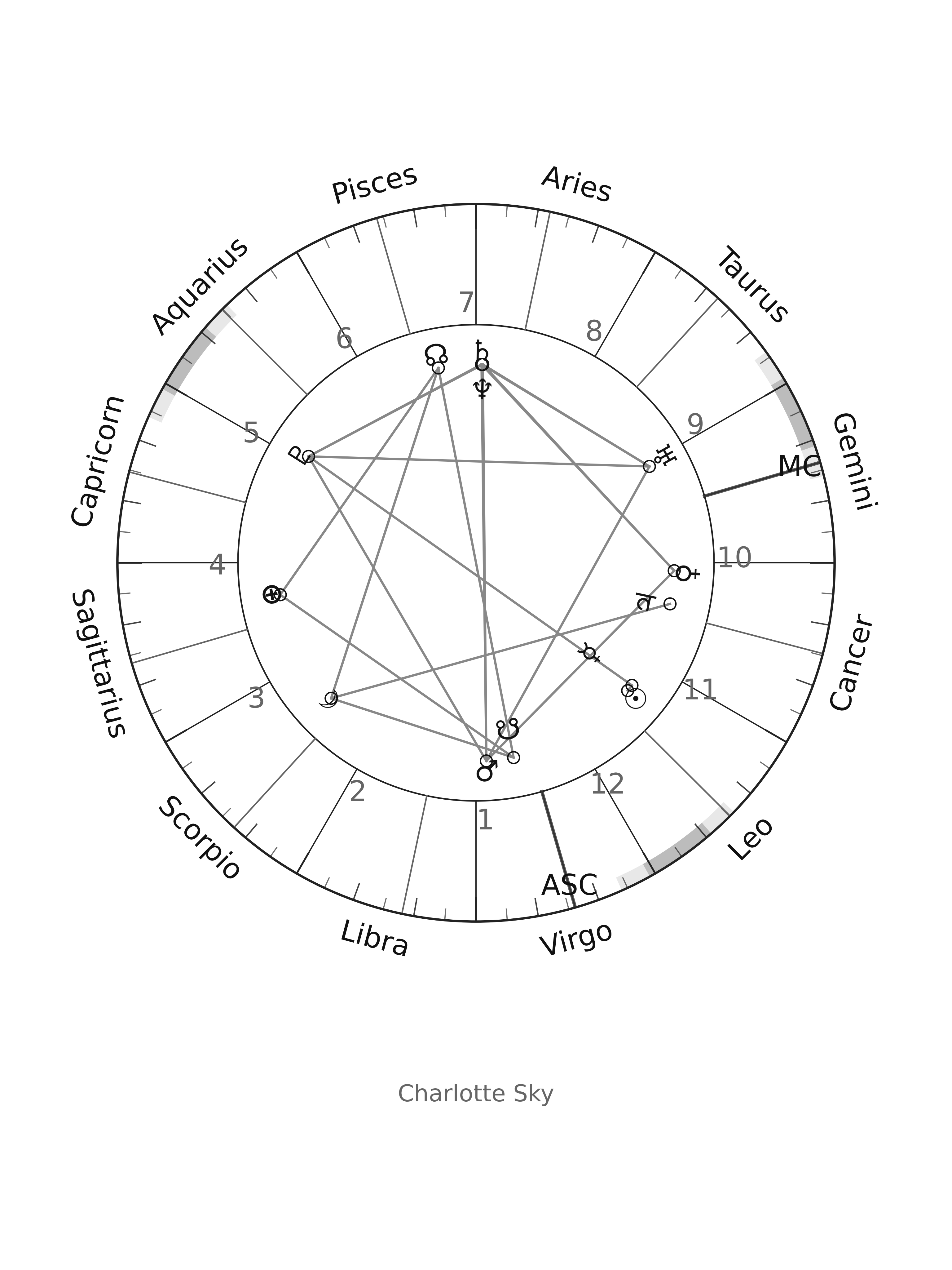 Artistic Birth Chart screenshot 5