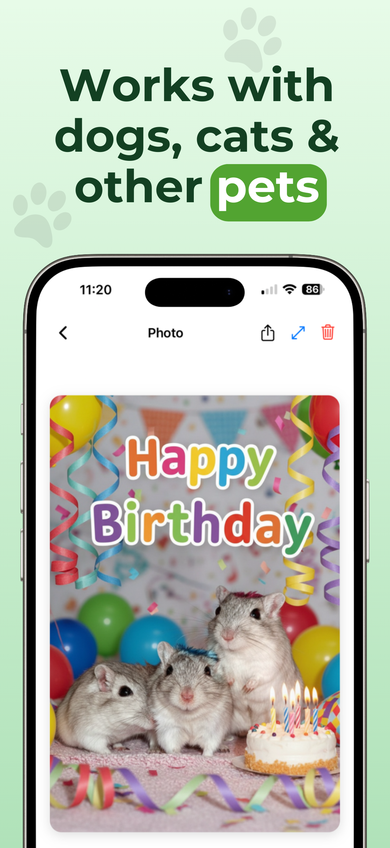 Pawtograph: Pet Photo Editor screenshot 6