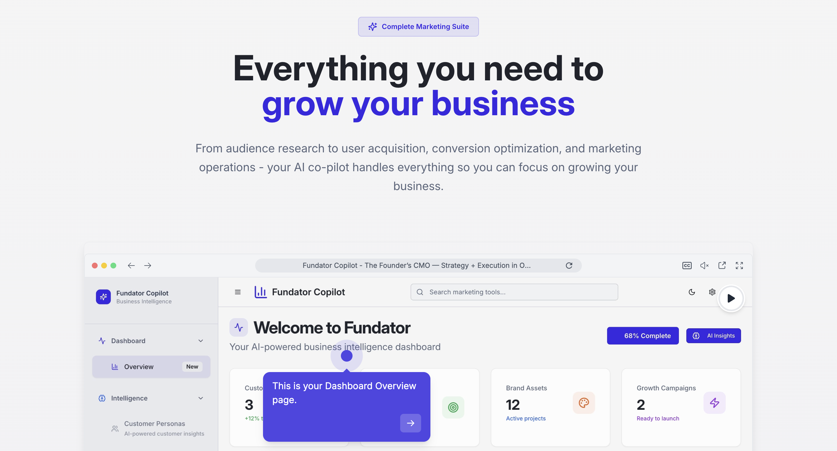Fundator Copilot screenshot 2