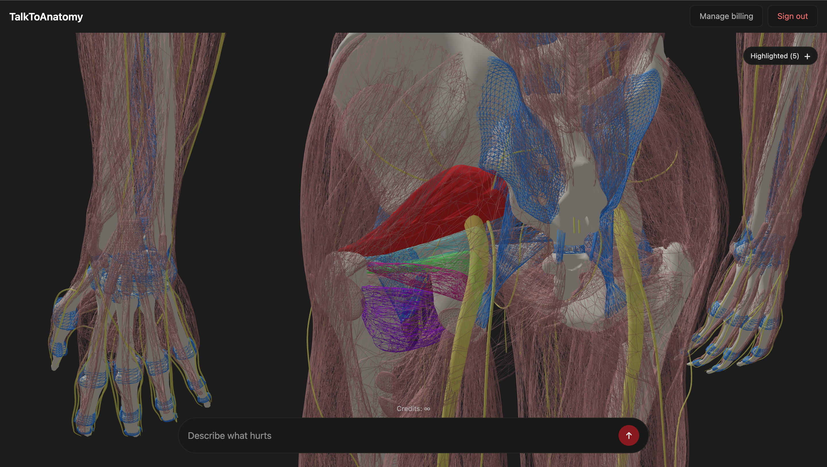 TalktoAnatomy screenshot 2