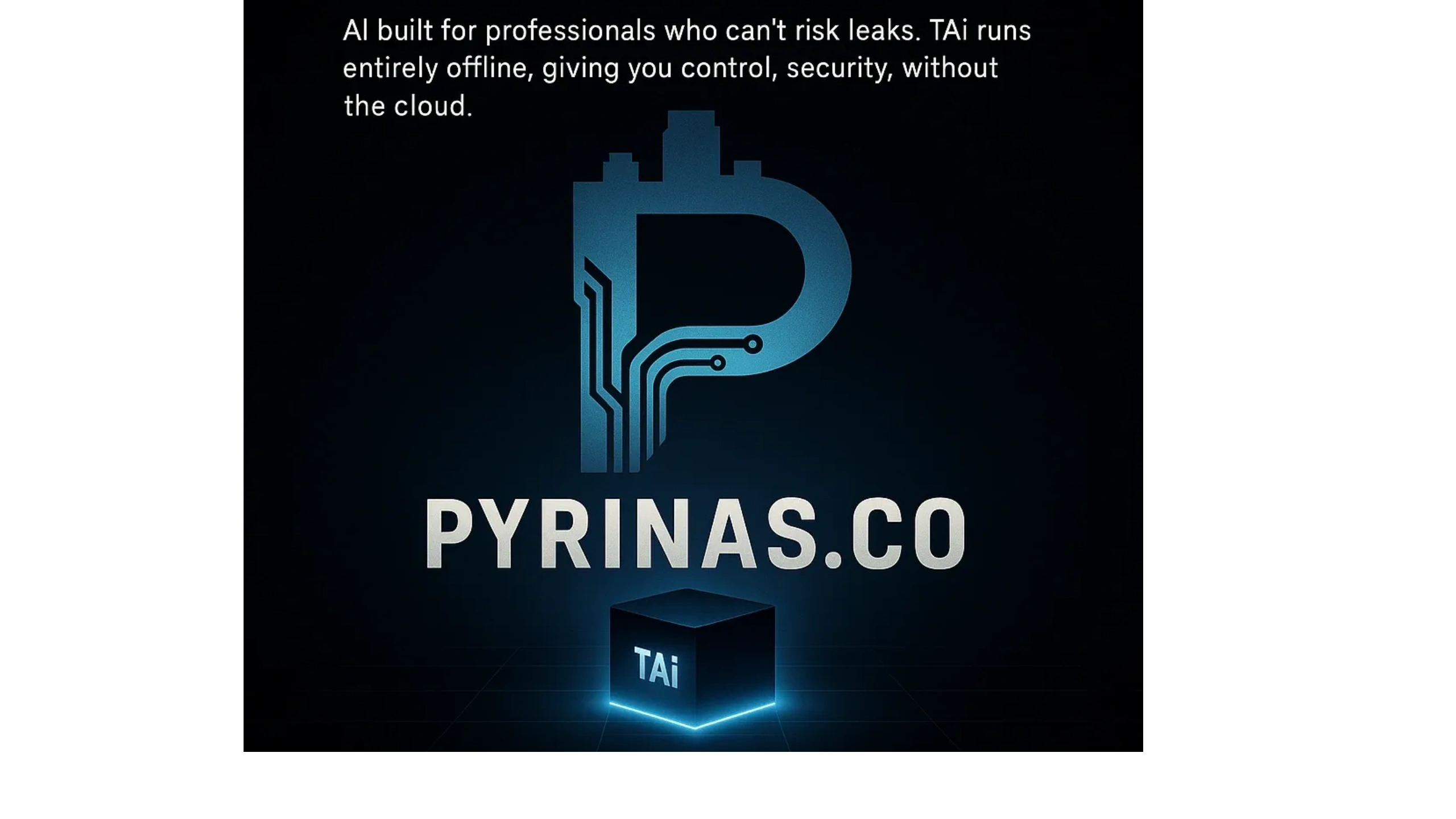 Pyrinas screenshot 1