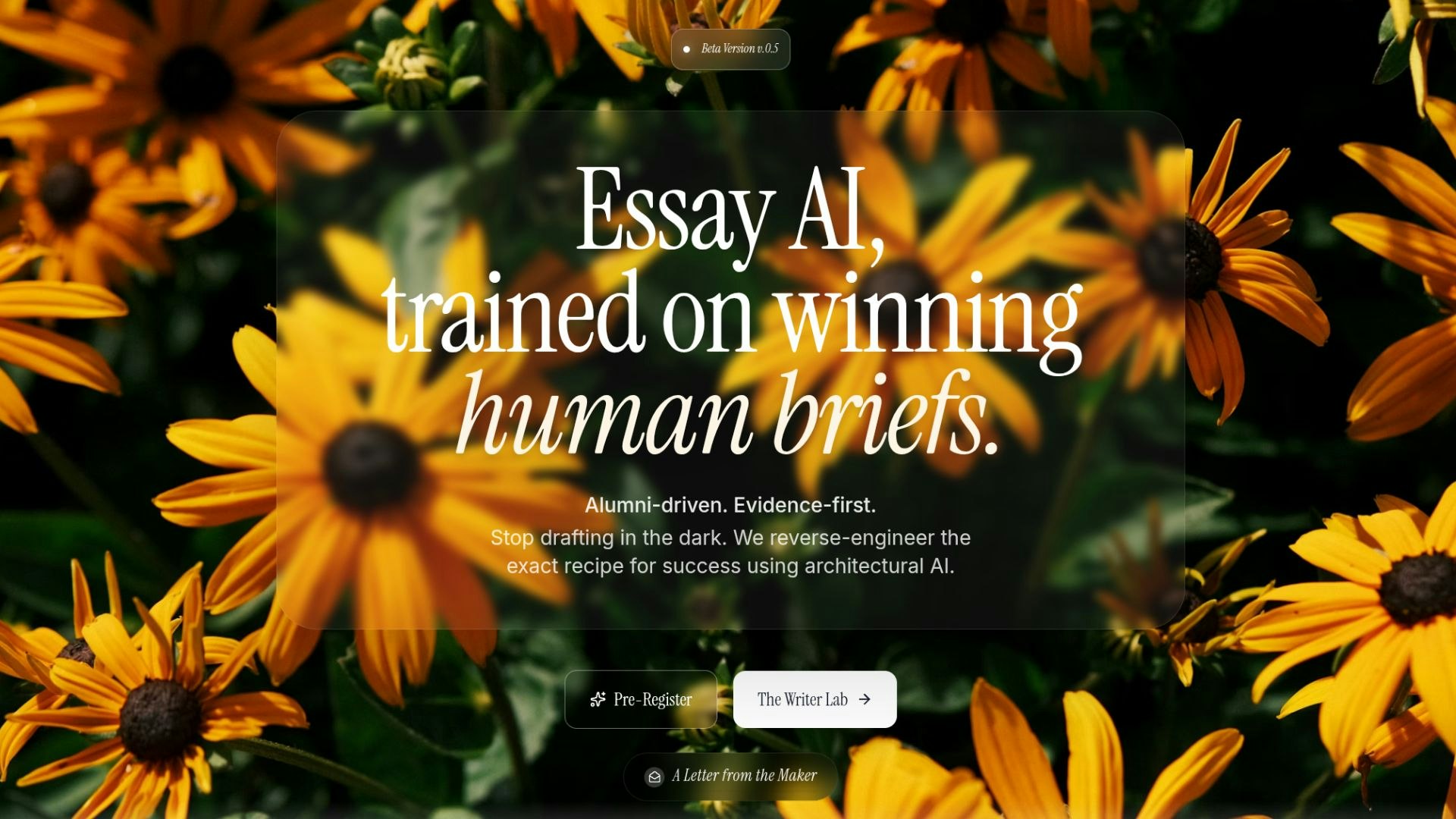 Everyessay screenshot 1