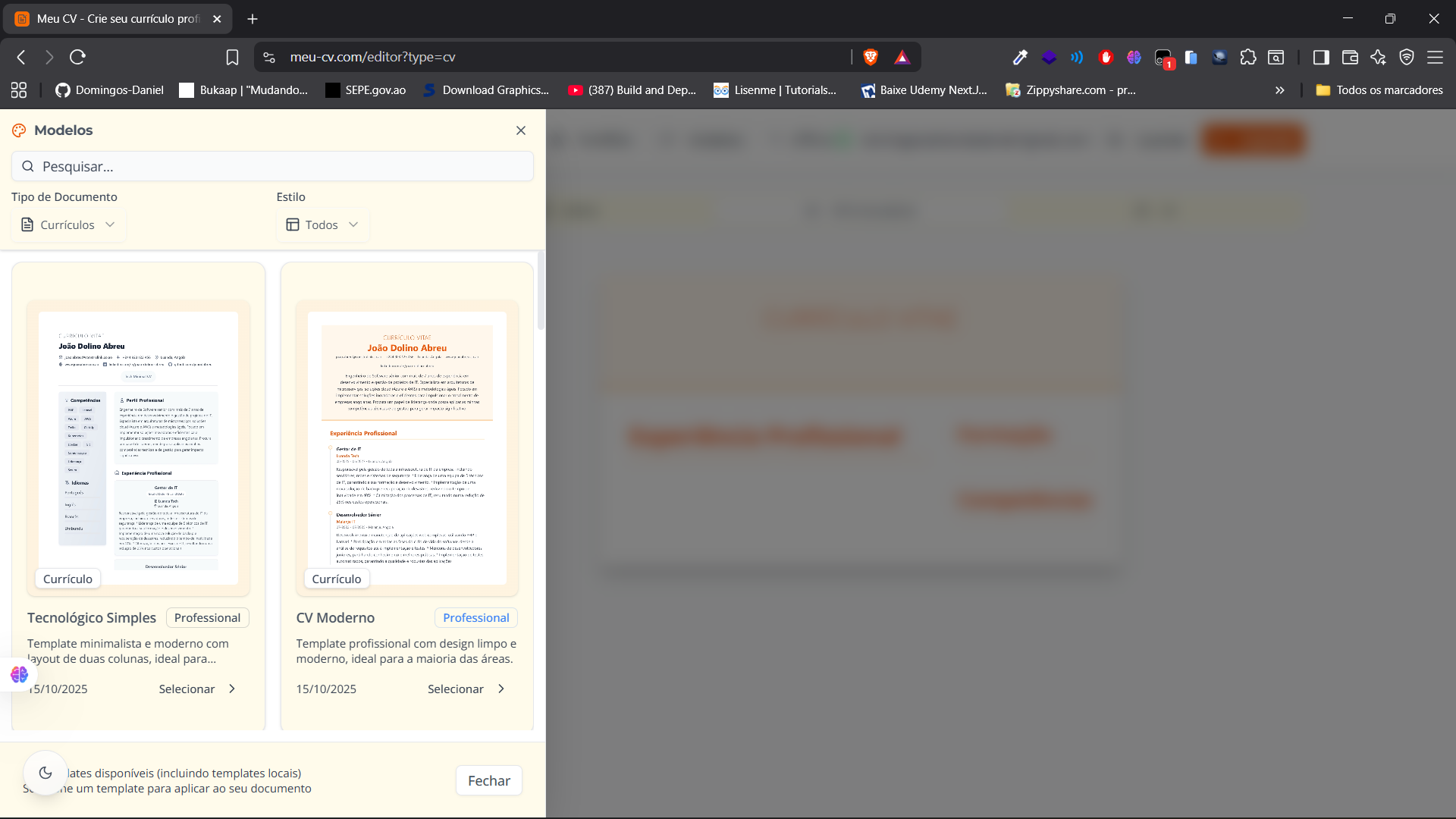 Meu CV screenshot 5