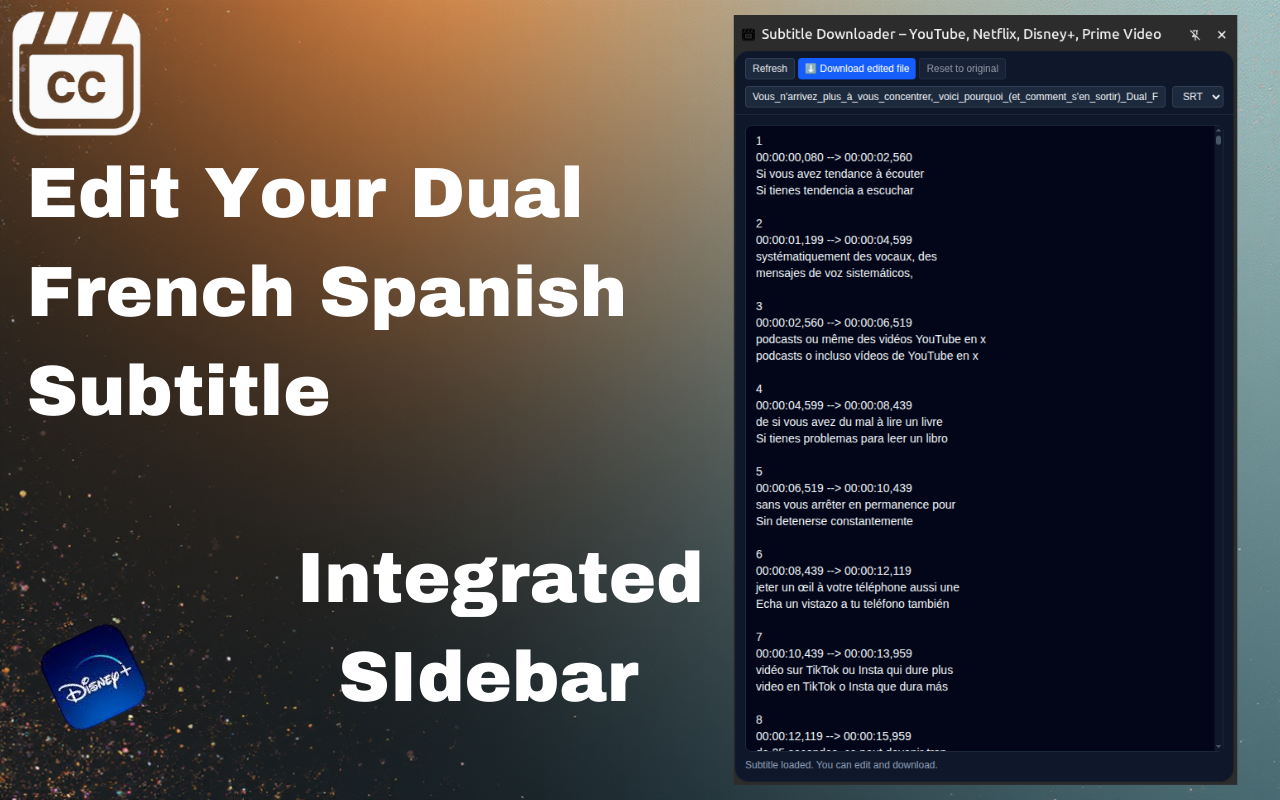 Subtitle Downloader for Netflix, YouTube screenshot 5