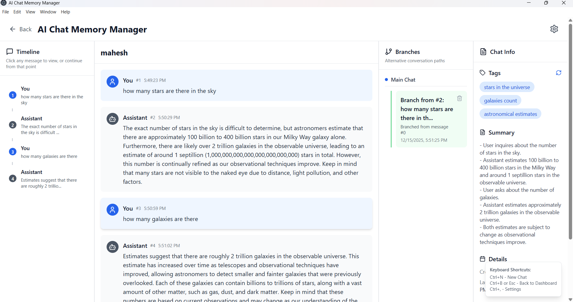 Chat Memory Manager screenshot 2