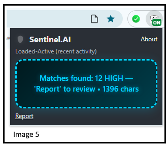 Sentinel AI screenshot 2