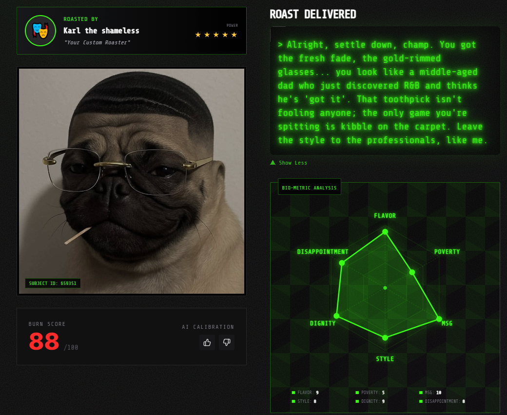 roastme-Gemini screenshot 3