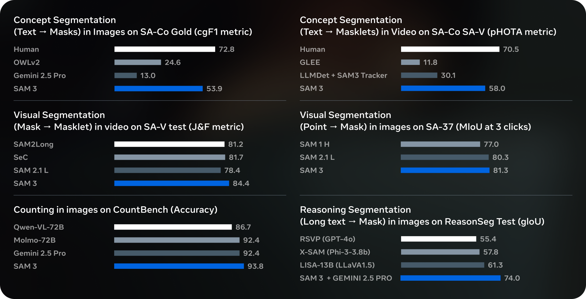 SAM 3 & 3D screenshot 9