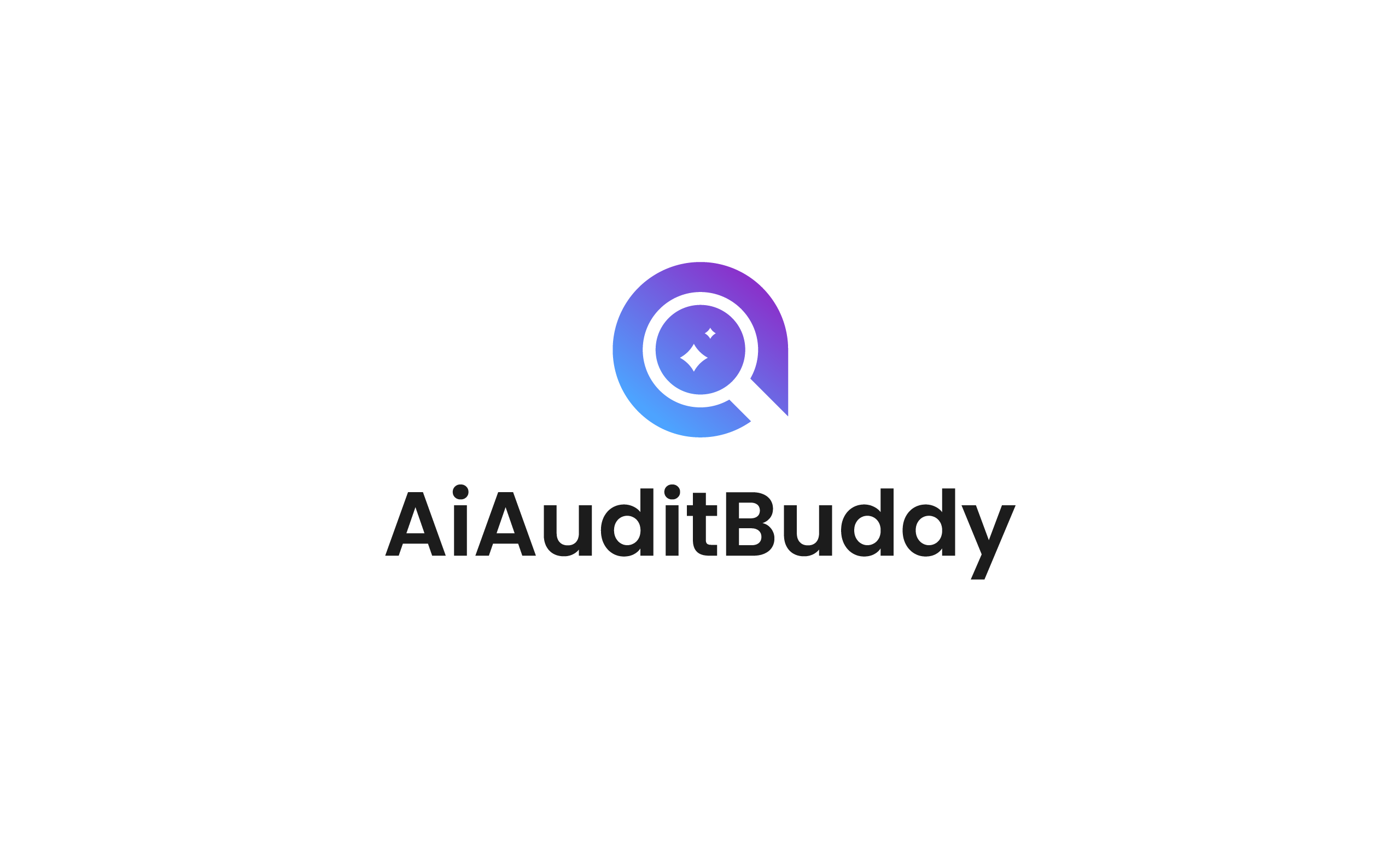 AiAuditBuddy screenshot 6