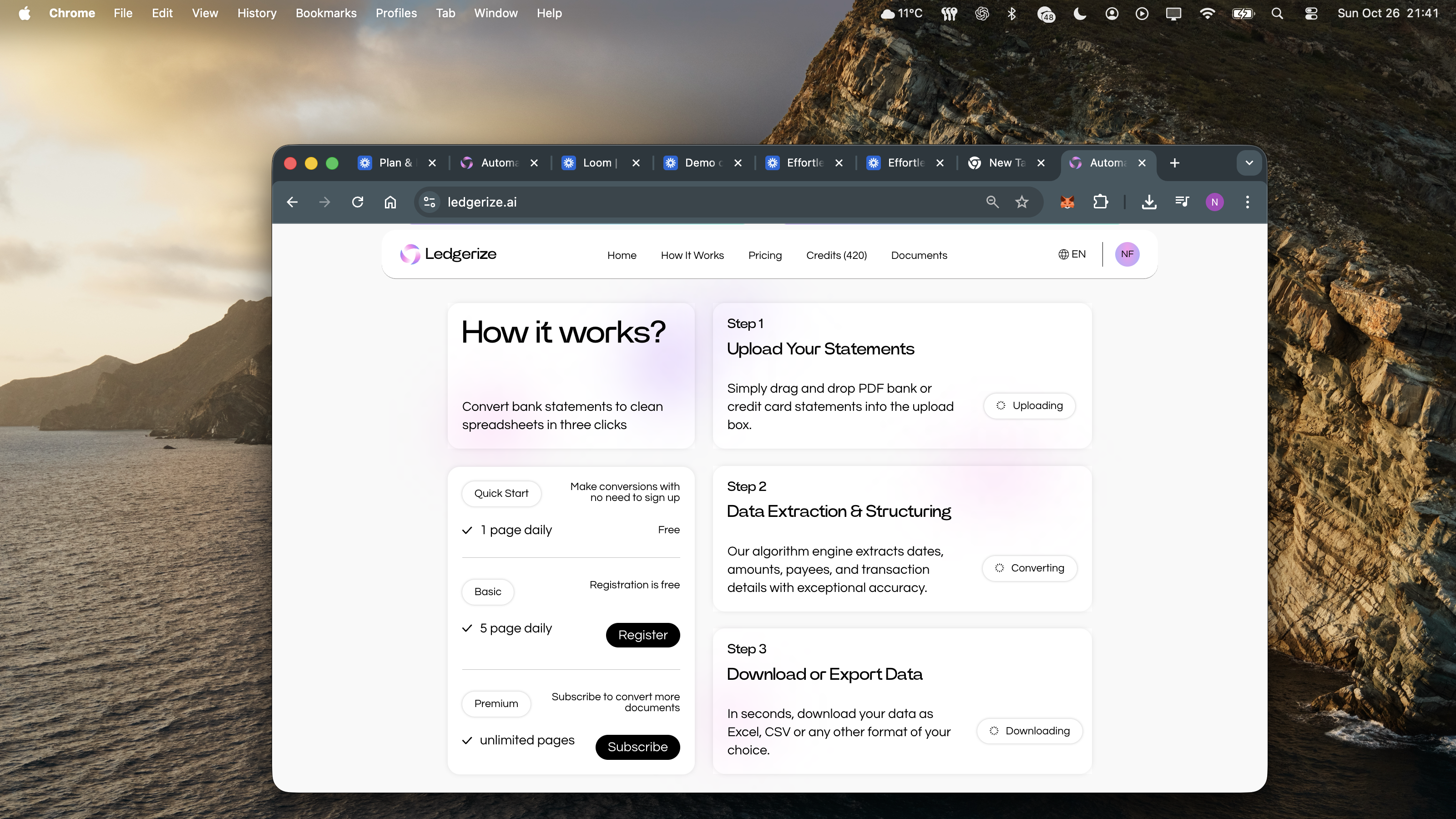 Ledgerize screenshot 1