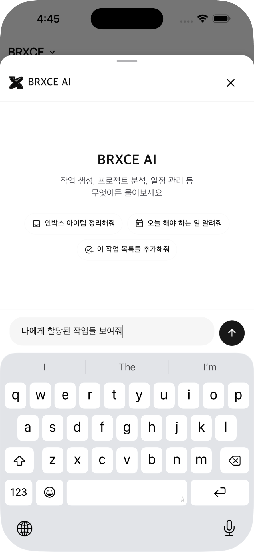BRXCE screenshot 7