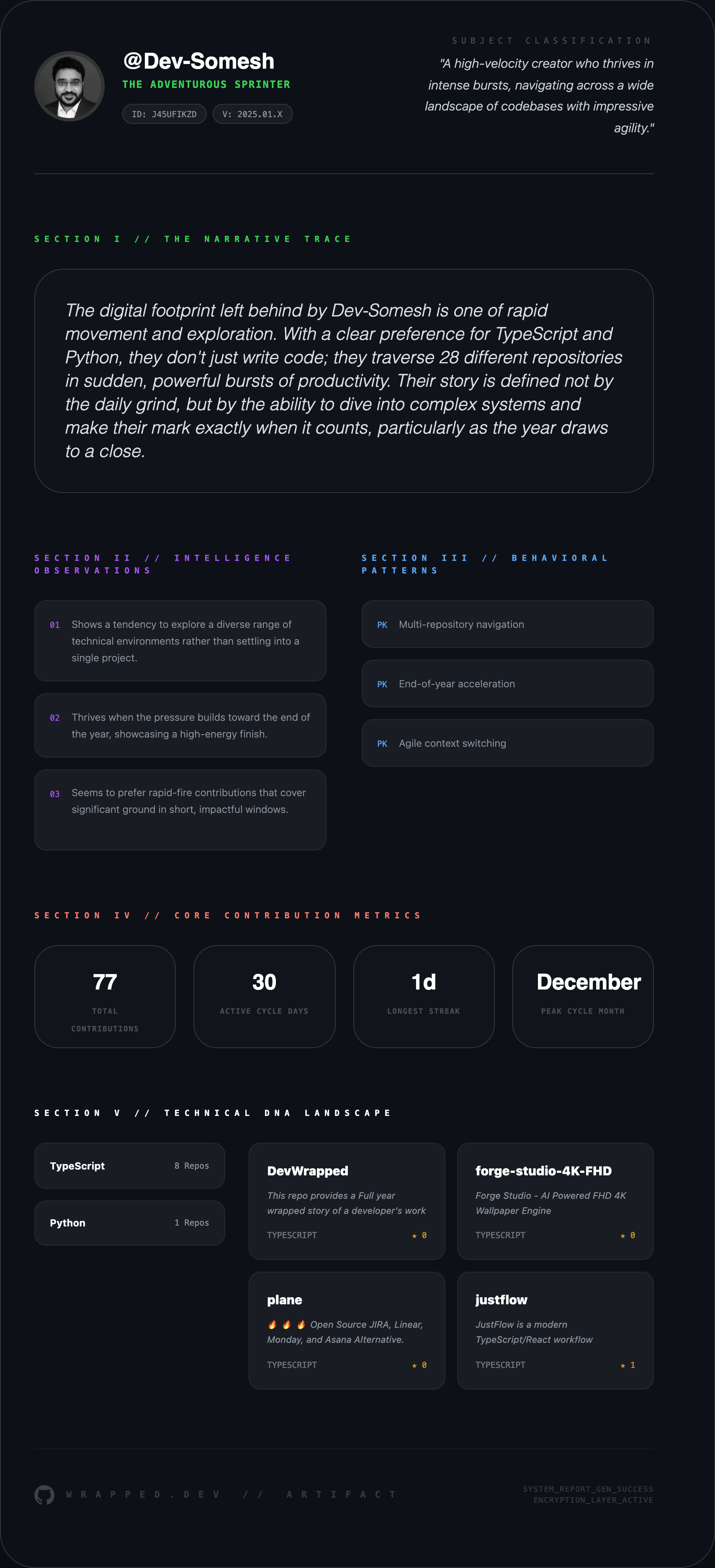 DevWrapped 2025 screenshot 3
