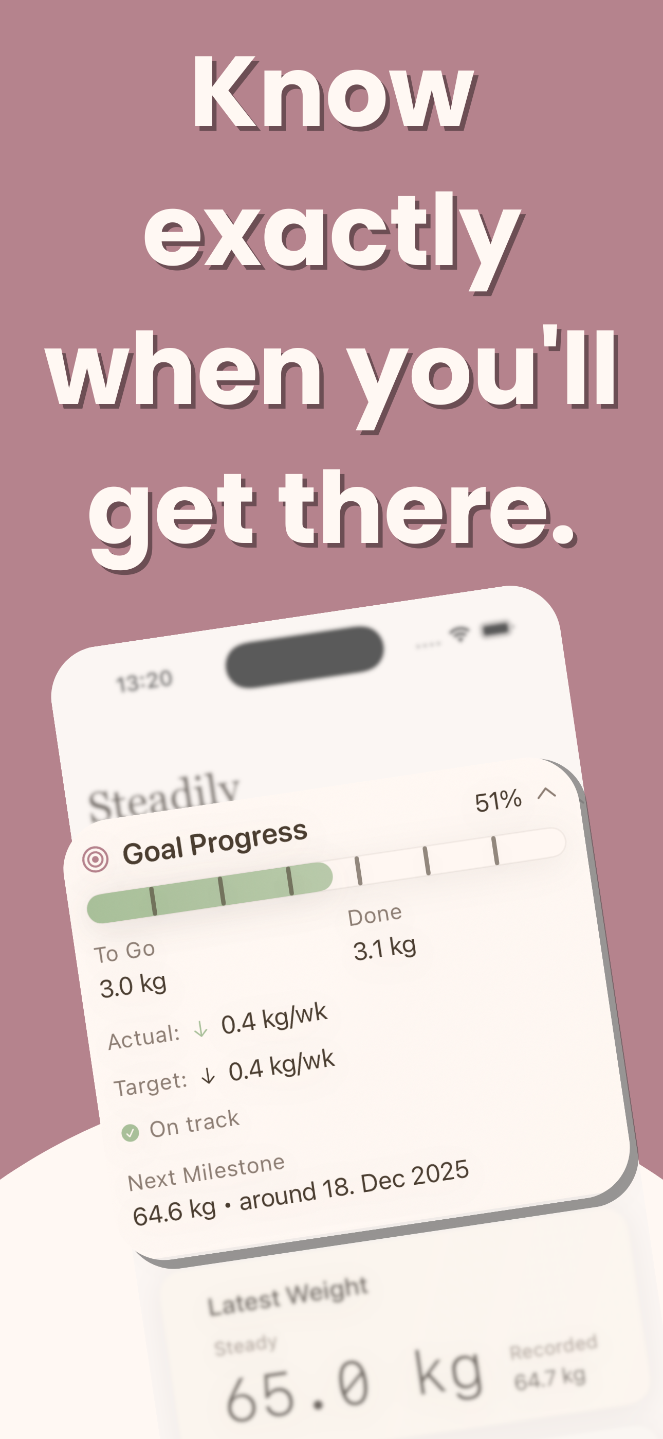 Steadily screenshot 4