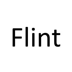 Flint AI
