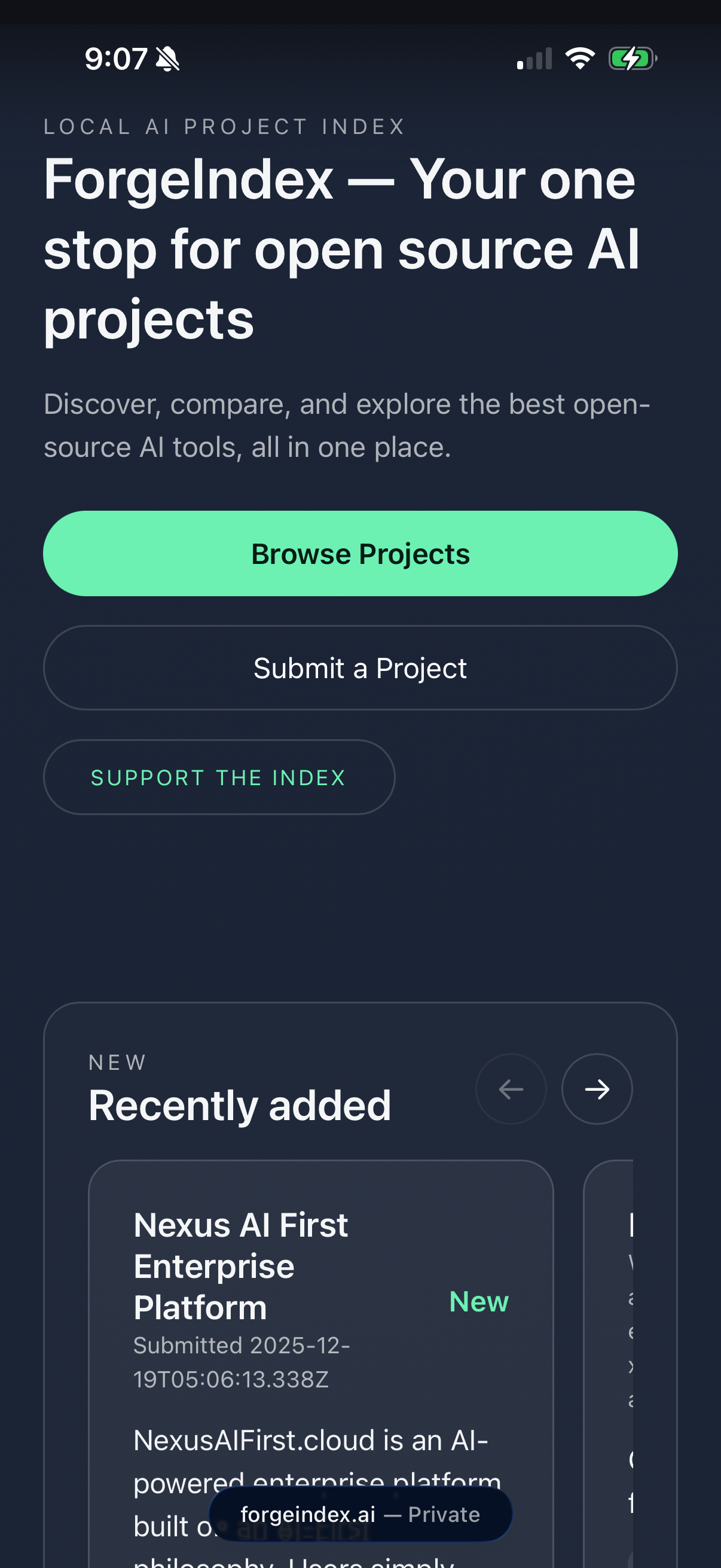 ForgeIndex screenshot 3