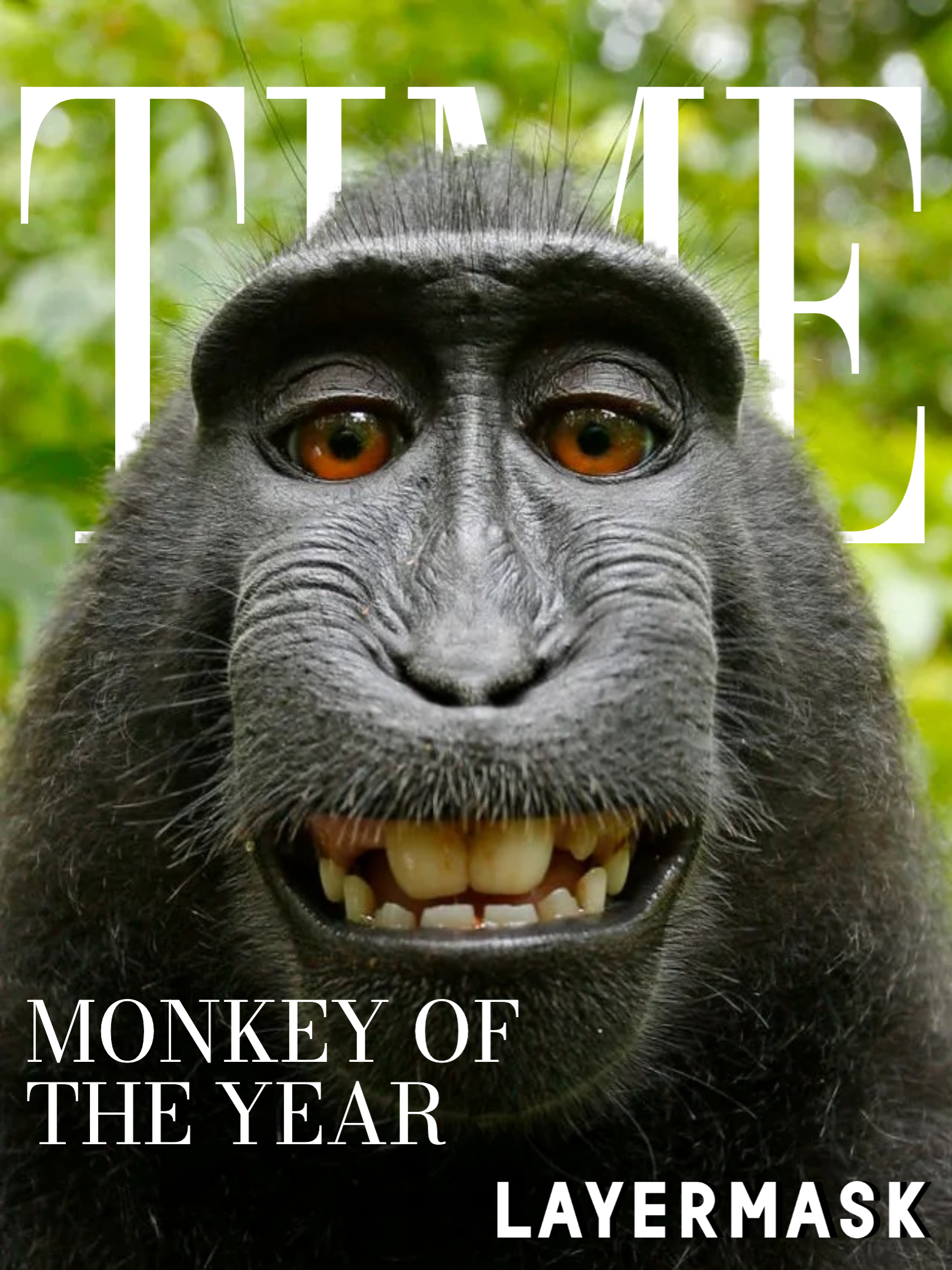 Layermask screenshot 2