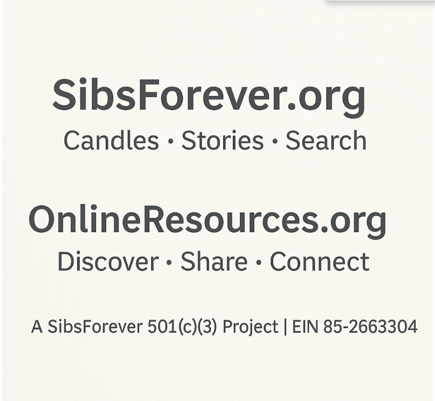 onlineresources.org screenshot 5