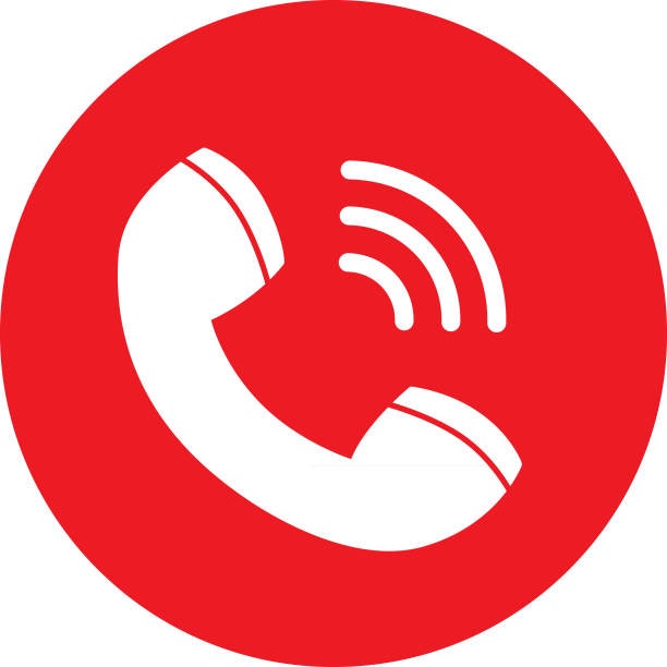 Custom Solutions Voice AI