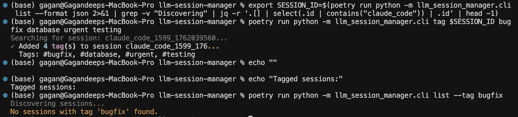 LLM Session Manager screenshot 2