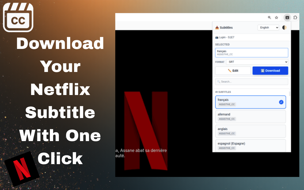 Subtitle Downloader for Netflix, YouTube screenshot 4